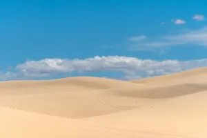 Noches en el desierto de Chihuahua bajo un cielo infinito