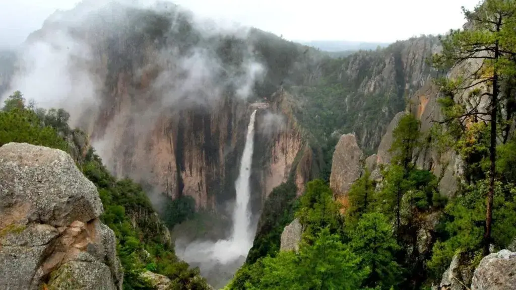 Cascada de Basaseachi en Chihuahua con caída de 246 metros rodeada de bosques y cañones naturales