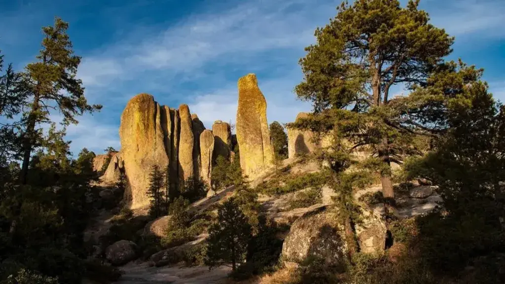 Formaciones rocosas y bosque en Creel, Chihuahua, escenario natural del medio maratón en la Sierra Tarahumara.