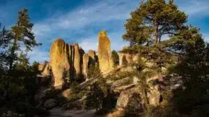 Formaciones rocosas y bosque en Creel, Chihuahua, escenario natural del medio maratón en la Sierra Tarahumara.